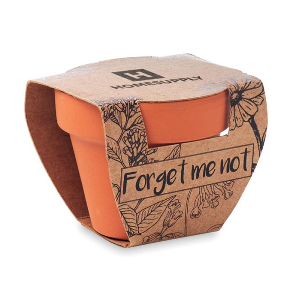 FORGET ME NOT - Terracotta-Topf Vergissmeinnich