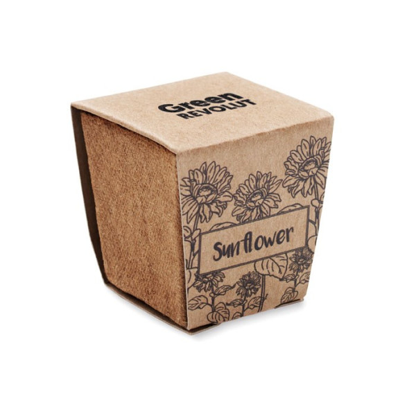 SUNFLOWER KIT - Pflanz-Set Sonnenblume